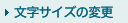 文字サイズの変更