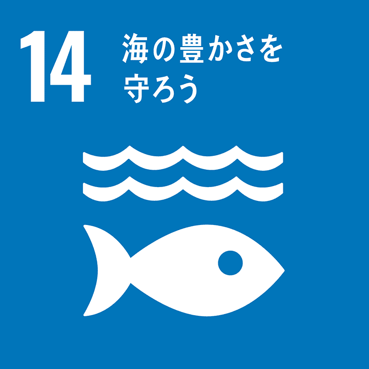 目標14 海洋と海洋資源を持続可能な開発に向けて保全し 持続可能な形で利用する Sdgs グローバル コンパクト ネットワーク ジャパン 目標14 海洋と海洋資源を持続可能な開発に向けて保全し 持続可能な形で利用する Sdgs グローバル コンパクト ネットワーク ジャパン
